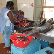 Fischmarkt 1